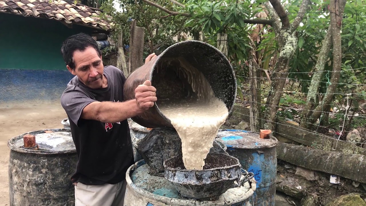 Resinaci&oacute;n de Pino  en Zonas Rurales de Honduras