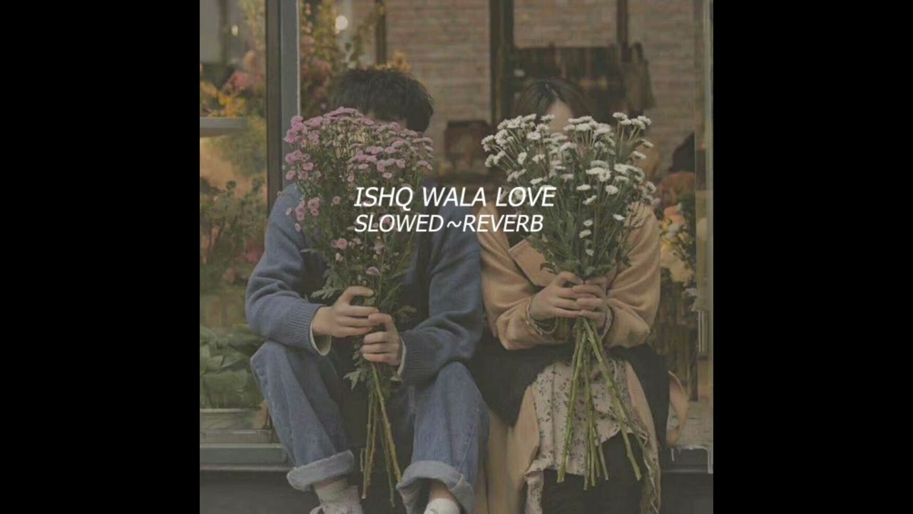 Ishq Wala Love | Slowed ~Reverb |