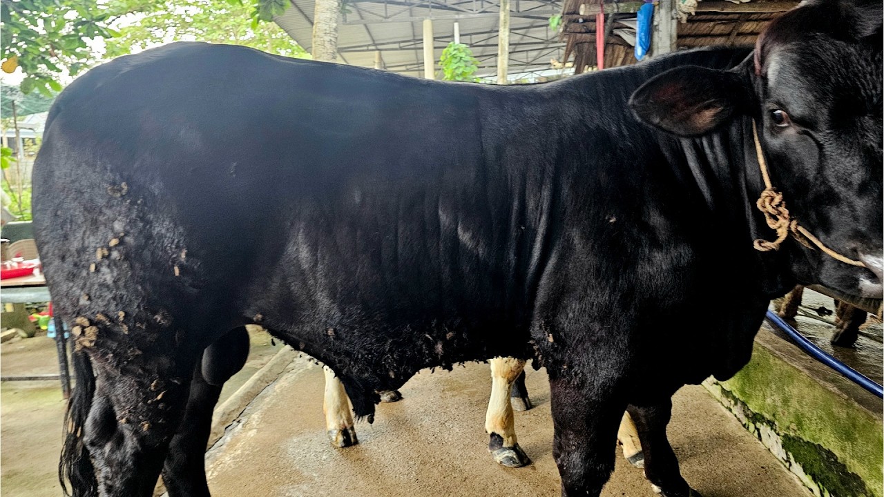 5/2/2026 ĐT.0973504330 BB LỠ ĐẸP ĐỘ