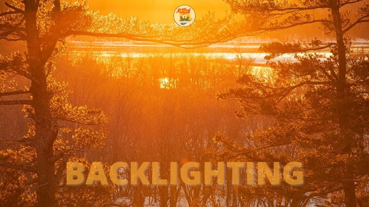 How to use BACKLIGHTING in Landscape Photography (4 Tips!)