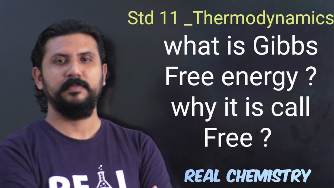 What is Gibbs Free Energy ? And Why it is Call FREE ?