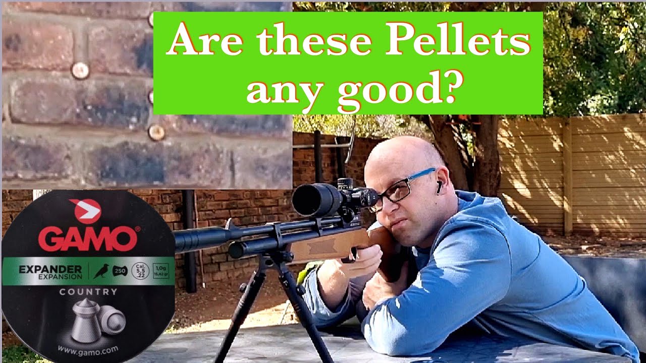 Gamo expander pellet testing - PR900