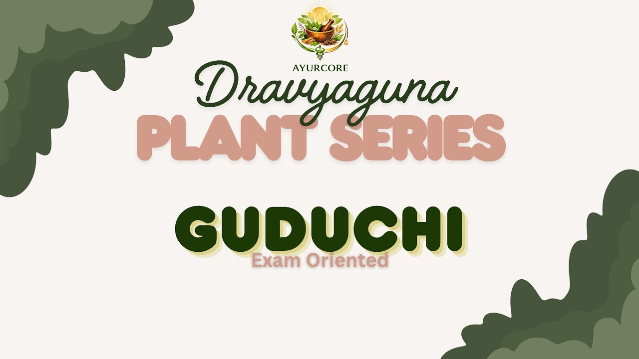 Guduchi (Tinospora cordifolia) – 10 Marks Sure Shot |DRAVYAGUNA|Most Important Plant|BAMS 2nd Proff.