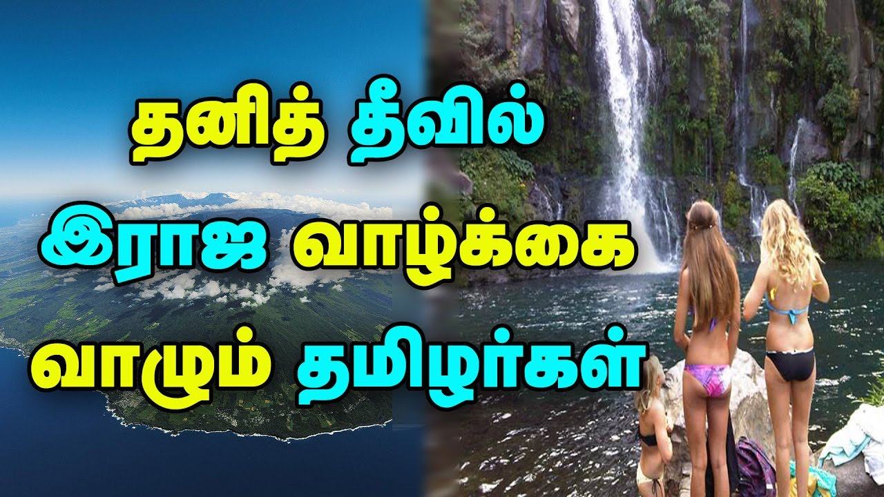 Tamil people living a king life in Reunion islands #tamilan #reunion