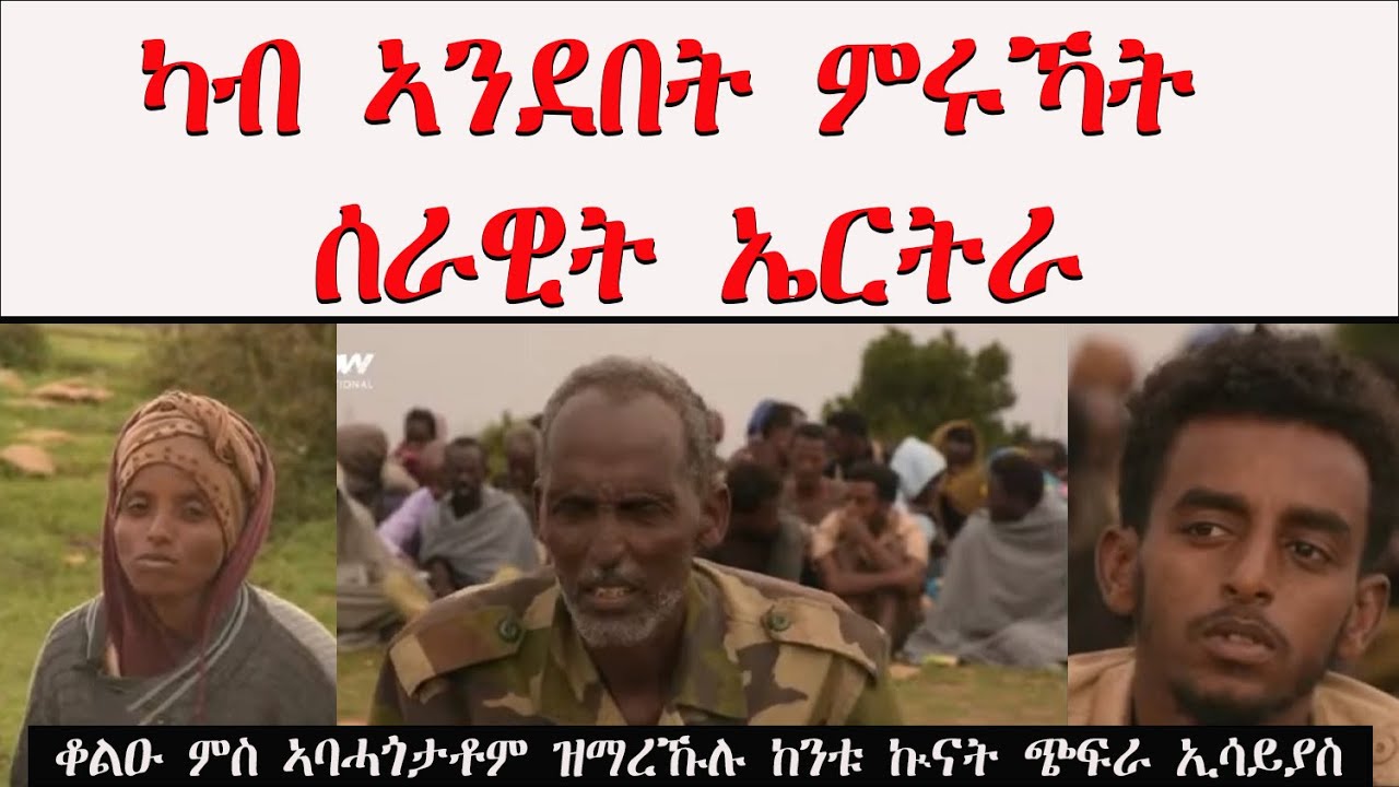 ATV: ጭፍራ ኢሳያስ ንመቐለ ክትኣትዉ ኢሉ ብወገን በርሓለ ድሕሪ ዘካየዶ ፍሹል ፈተነ  ኣብ ጸረ መጥቃዕቲ ሰራዊት ትግራይ ዝተማረኹ ኣባላት ሰራዊት ኤርትራ