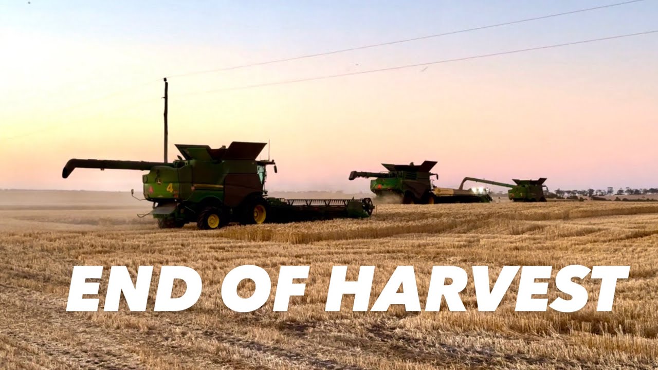 Harvest 2024 done and dusted. | Episode 37