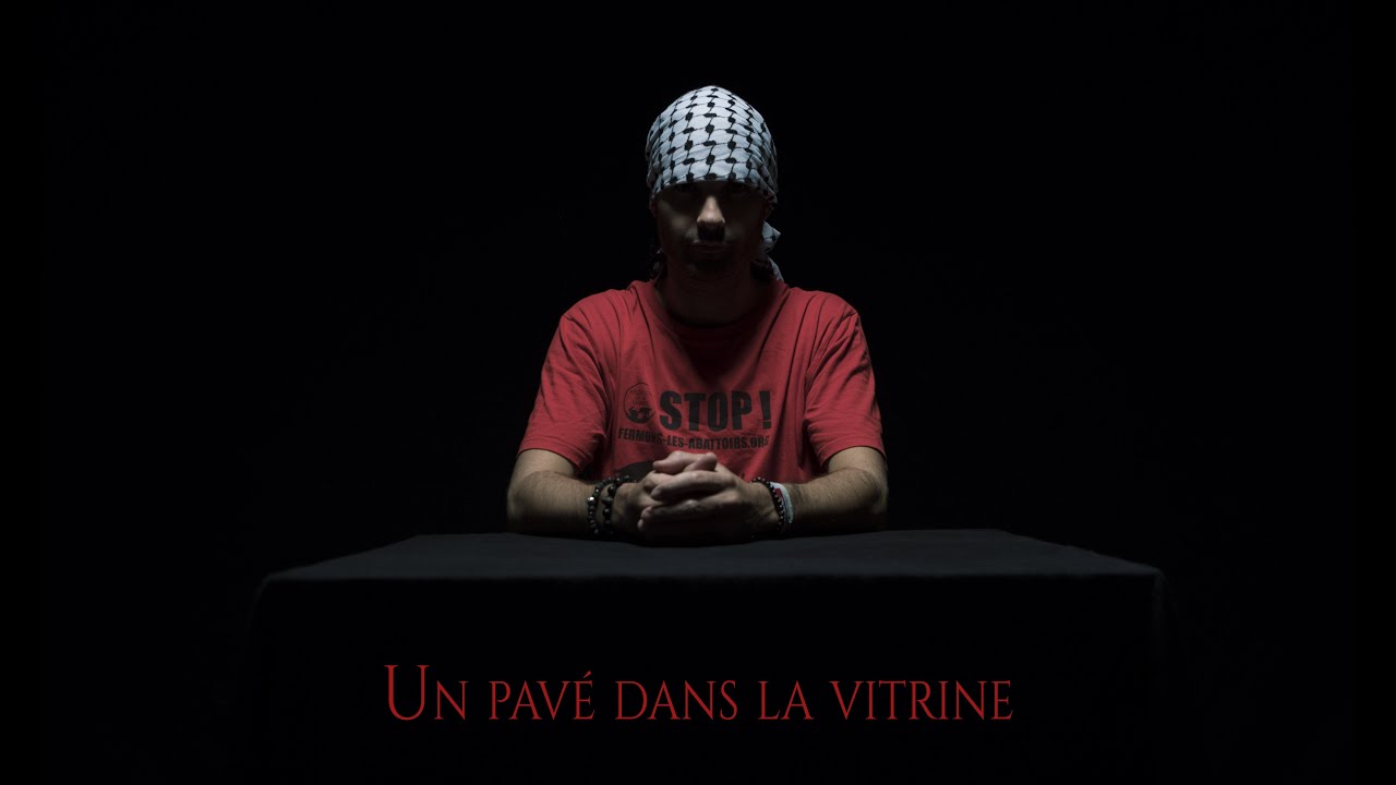 RES TURNER - UN PAVE DANS LA VITRINE (Réponse à Didi Chandouidoui)