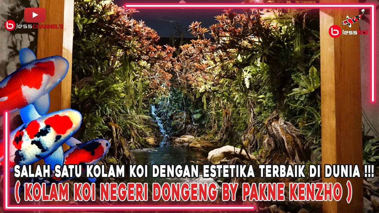 SALAH SATU KOLAM KOI DENGAN ESTETIKA TERBAIK DI DUNIA❗❗❗( KOLAM KOI NEGERI DONGENG BY PAKNE KENZHO )