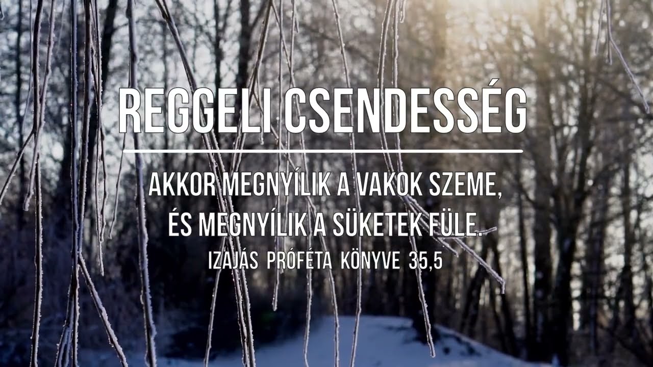 REGGELI CSENDESSÉG - 2026.02.13