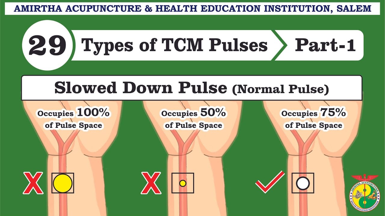 IMPORTANCE OF PULSE | 29 TYPES OF TCM PULSES | SLOWED DOWN PULSE | HEALER PONRASA SALEM | #TCM