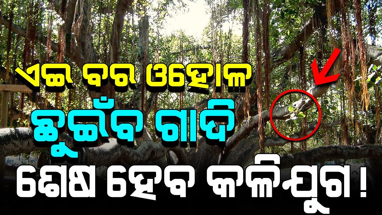Nemala - Padma Bana Pitha | Cuttack, Odisha | Satya Bhanja