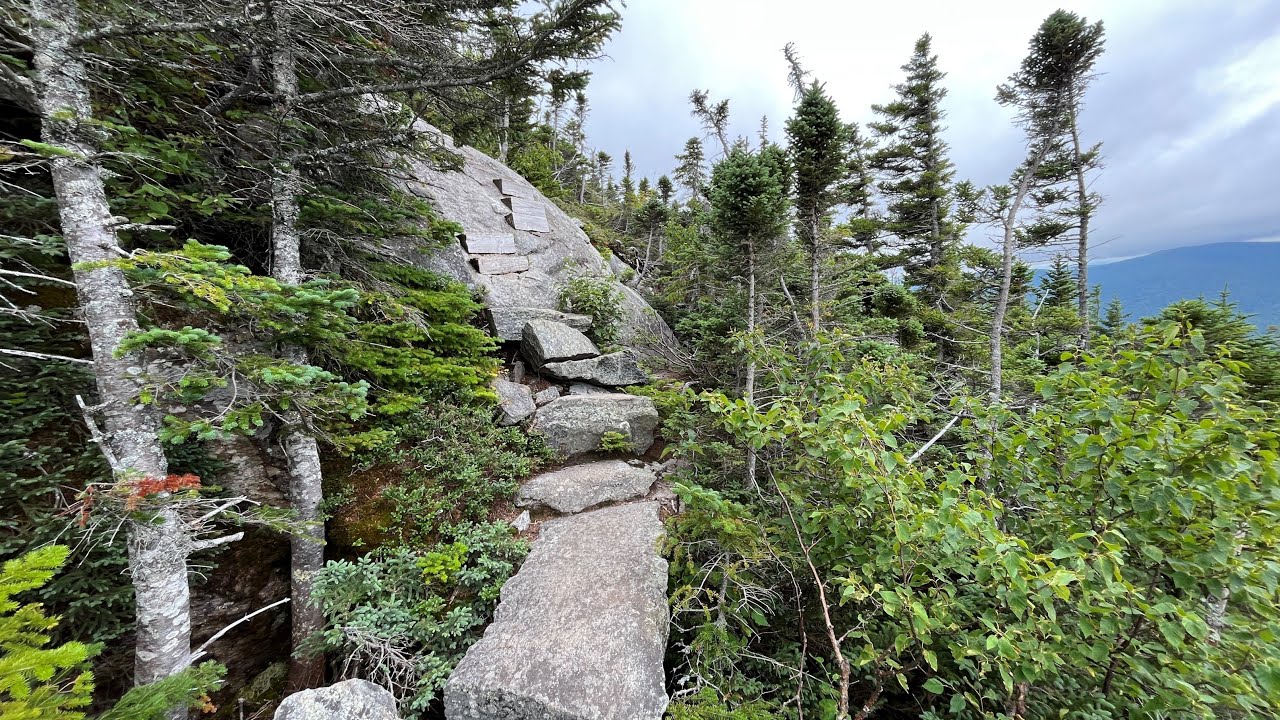 Wildcat D Mountain up Wildcat Ridge Trail