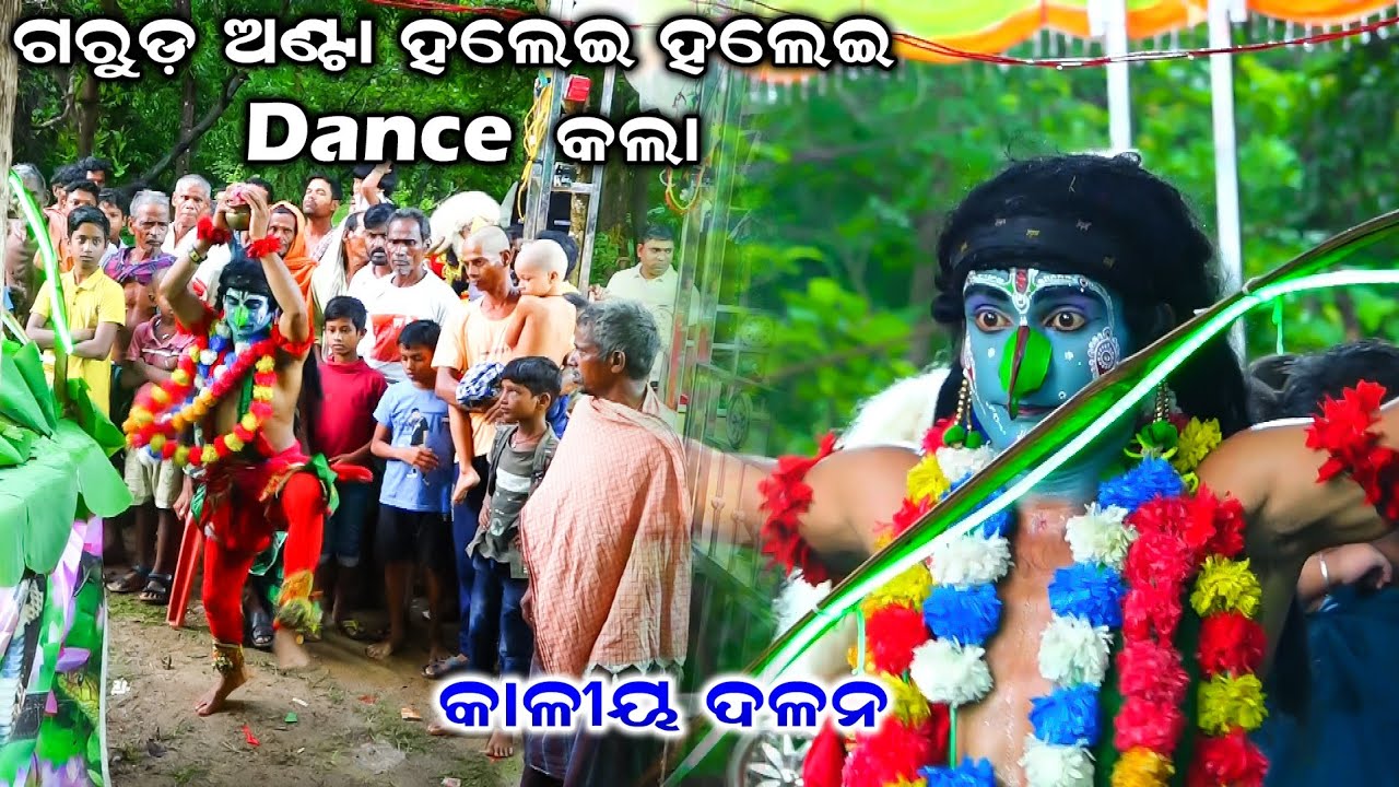 ଗାରୁଡ଼ ଅଣ୍ଟା ହଲେଇ ହଲେଇ Dance କଲା | Kaliya Dalana | Nadiali Kaliya Dalana | Kaliya Dalana Nacha |