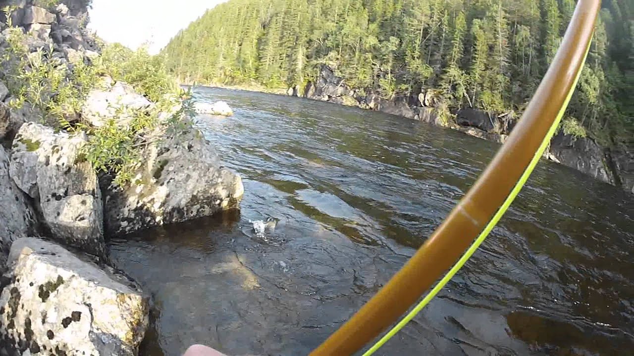 Flyfishing for Salmon in River Orkla & Gaula  2014