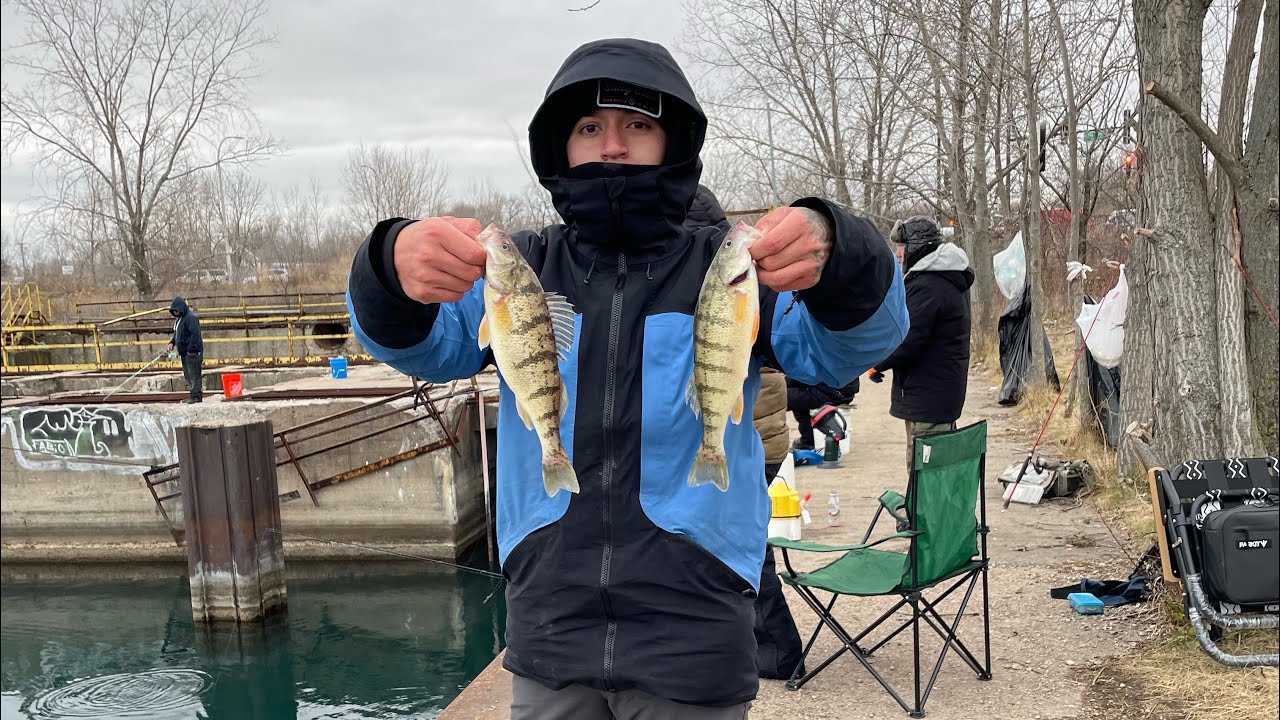 Chicago perch fishing 87th slip 2023 (catch and cook)