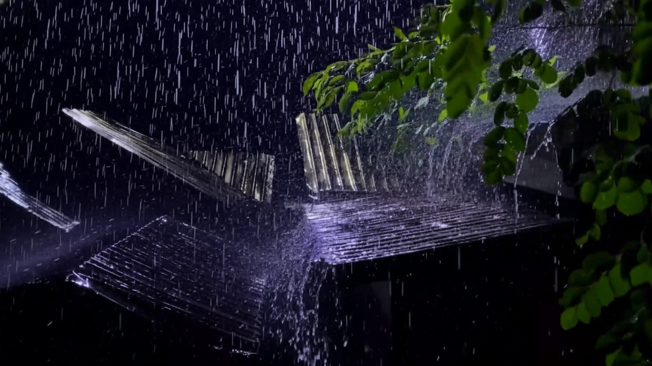 LIVE Rain Ambience at Night – Realistic Roof Rain Sounds for Deep Sleep