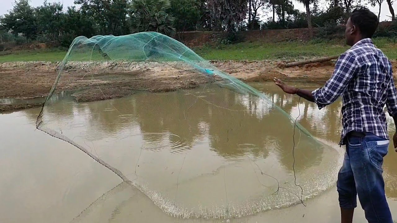 cast net fishing tamil/விசிறி வலை மீன் பிடித்தல்/Village food fishing