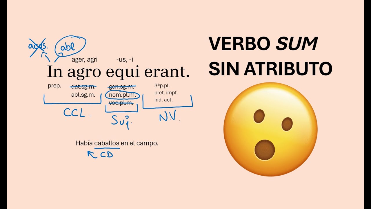 In agro equi erant | Verbo sum sin atributo | Análisis morfológico y sintáctico de una oración latín