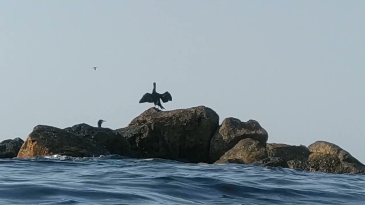 Águilas 15/8/25