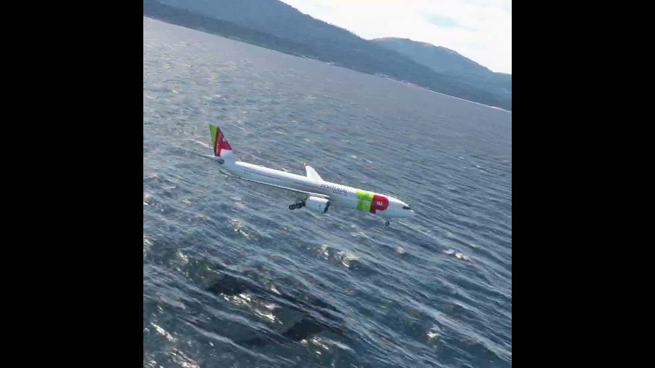 the carelessness of an airplane pilot 0194