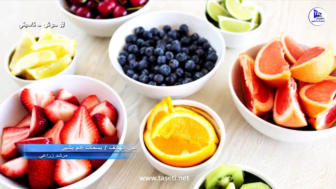 حــــوش تاسيتى