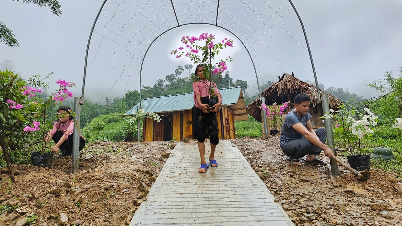 After finding many old iron columns, Uncle and Phuong Vy made trellis to plant bougainvillea flowers
