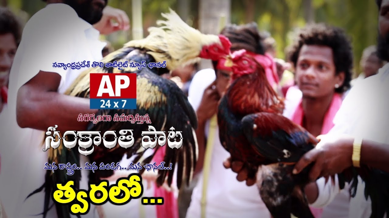 Sankranthi Song 2018 | Sankranthi Special Song by AP24x7 | Promo