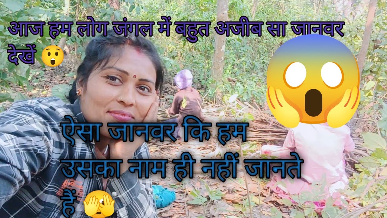 आज हम लोग जंगल में बहुत अजीब सा जानवर दिखे😲 Valmiki Nagar Jungle viral block