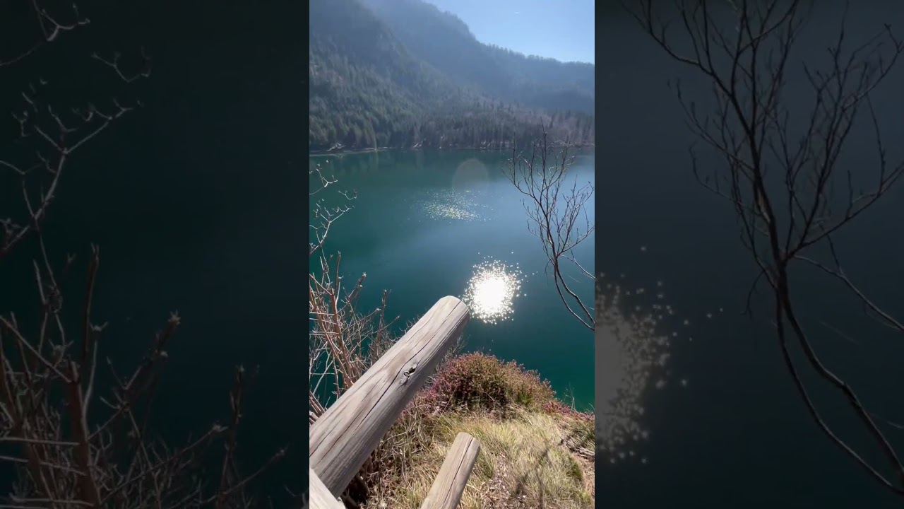 Alpsee Lake, Germany 🇩🇪 | Peaceful Nature in the Bavarian Alps #germany #natureshorts #nature