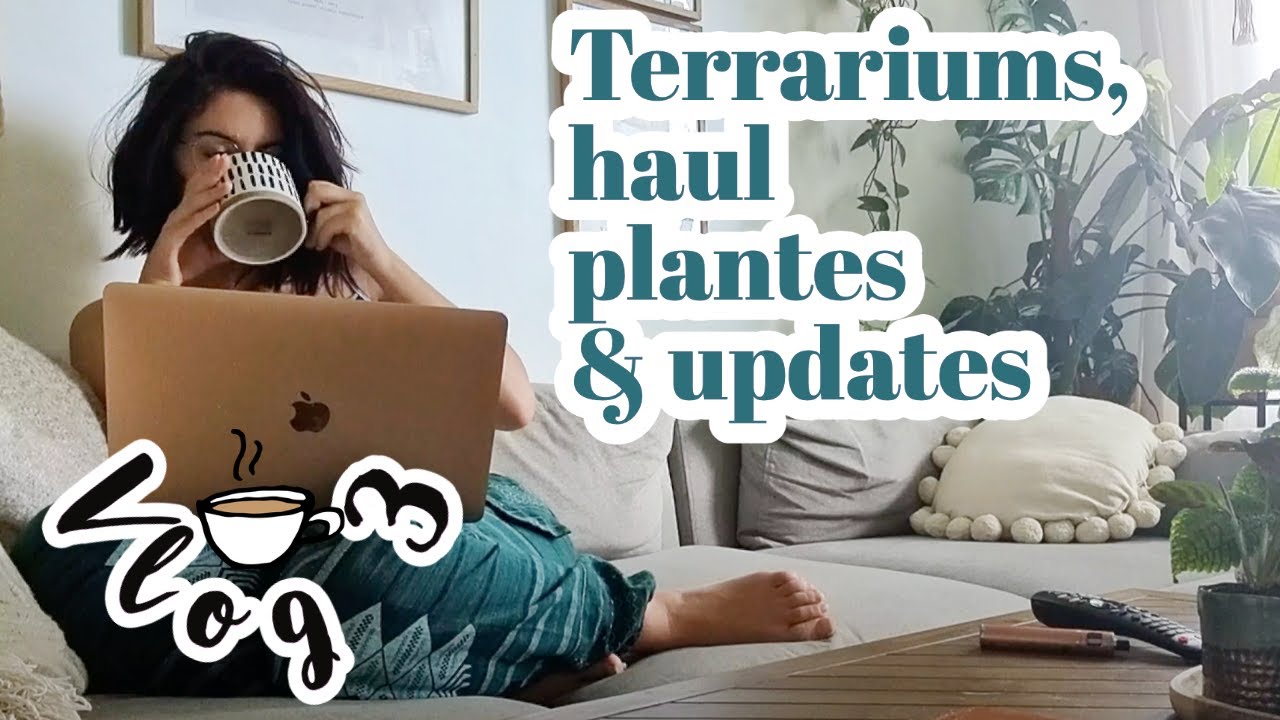 Vlog • terrariums, haul jardinerie & updates plantes !