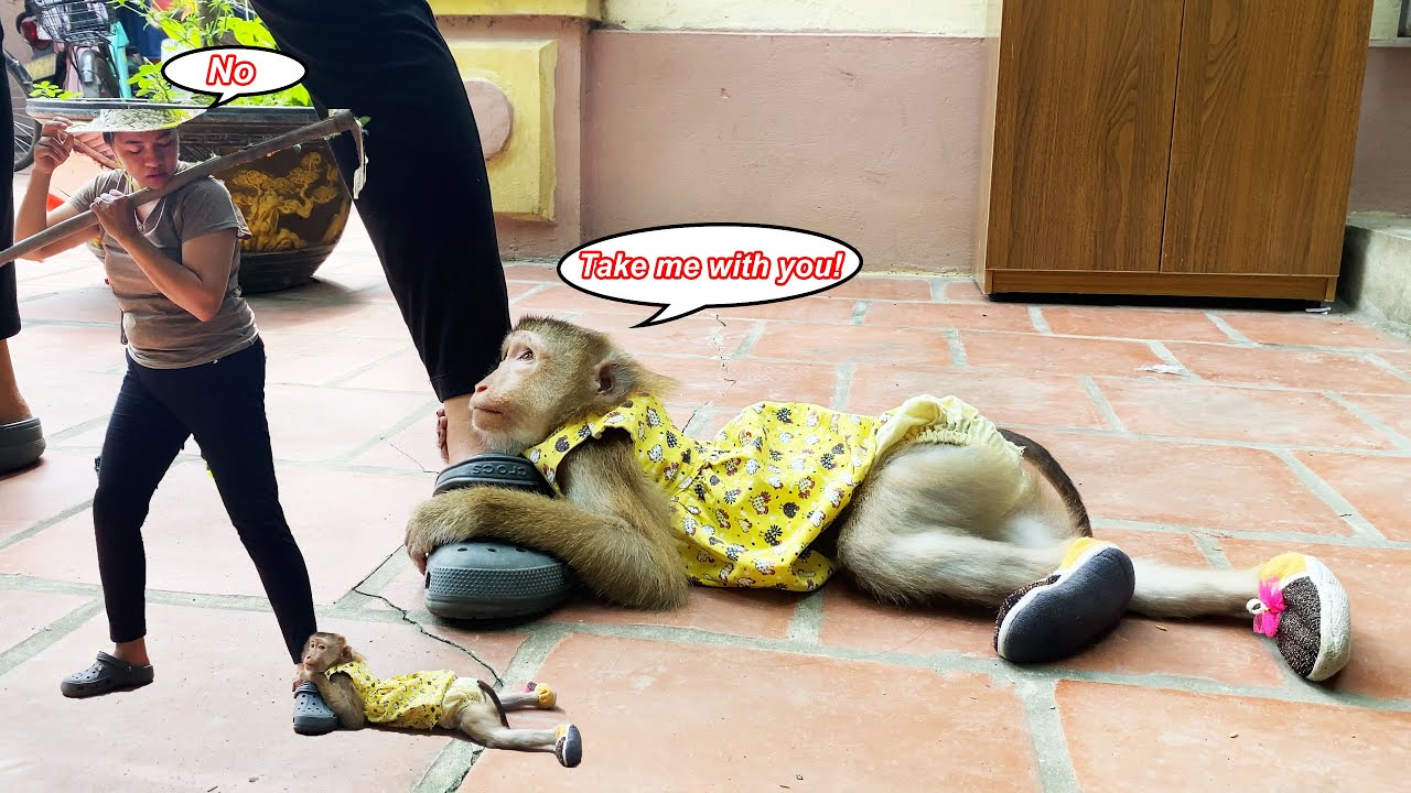 Please let me come with you!