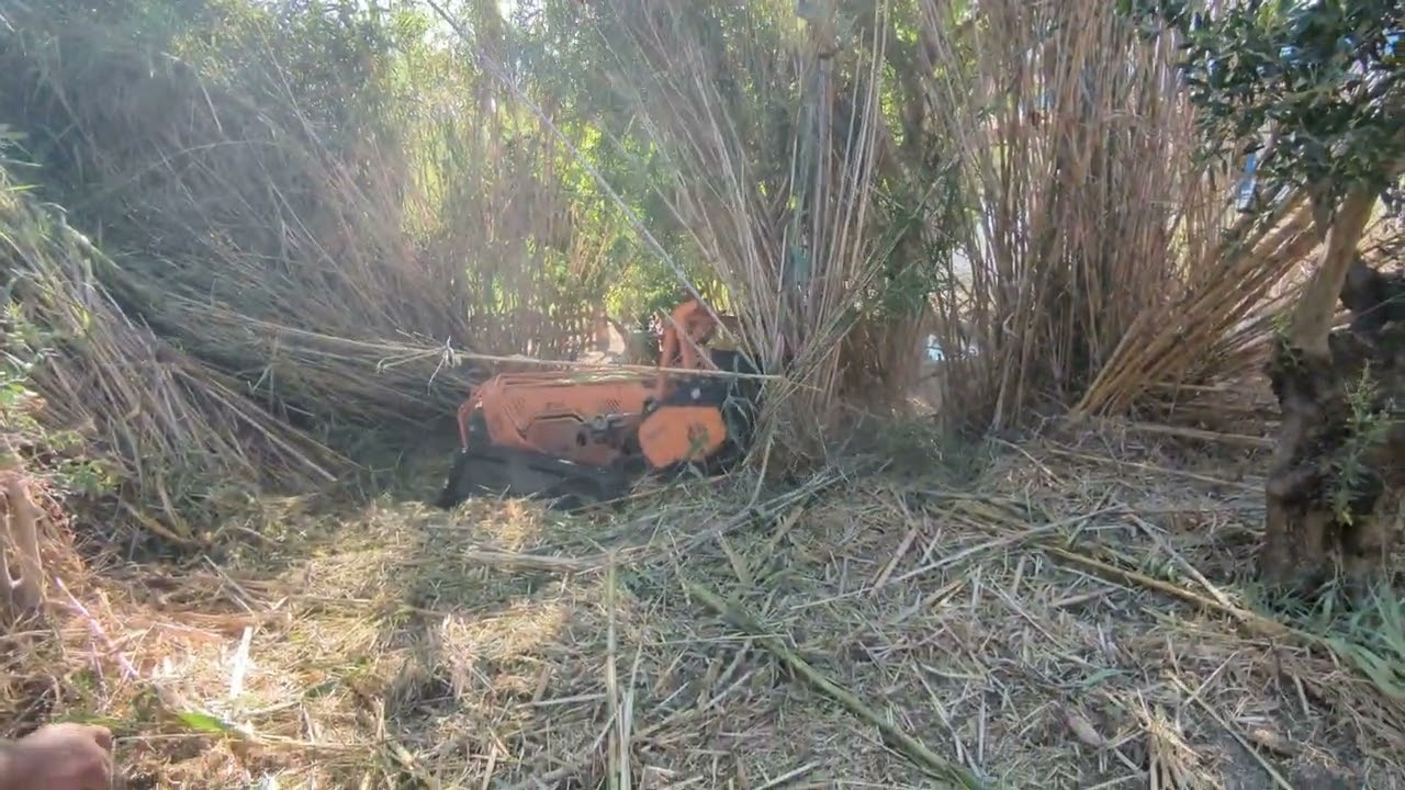 Conquering Steep Slopes: Green Climber LV600 by MDB Srl Revealed