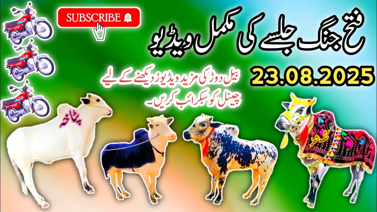 Bull Race In Pakistan | Fateh Jang Jalsa Highlights | 23.08.2025 | Sky Video Fateh Jang 