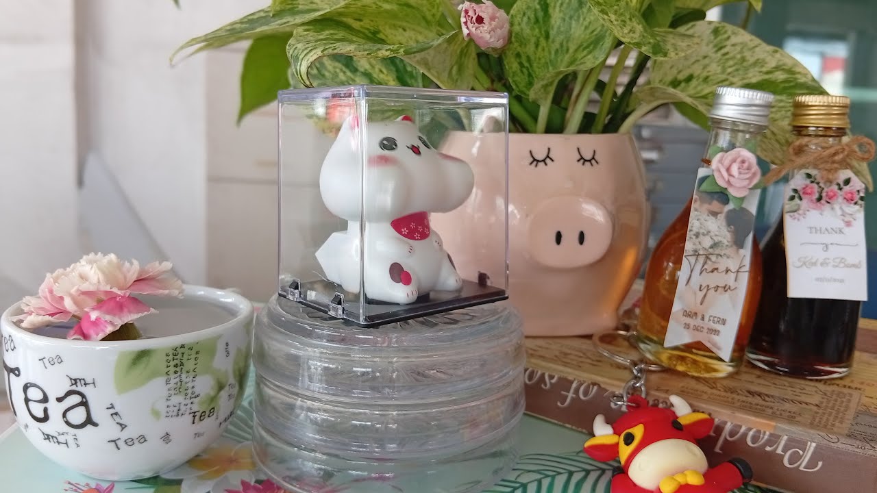 วันอิ่มอิ่ม ไลฟ์เก็บเวลาของวันอิ่มอิ่ม ค่ะ