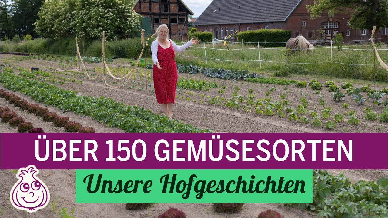 Gemüseacker Rundgang | Gemüseanbau auf dem Hof | Unsere Hofgeschichten