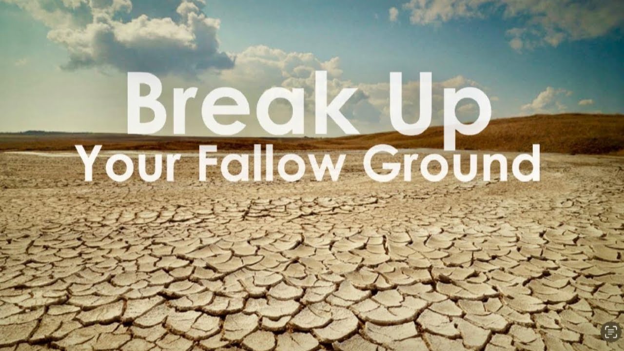 Pastor Jonathan DeWitt: Break Up Your Fallow Ground 2-22-2026