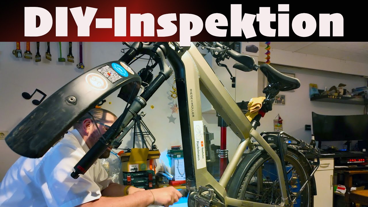 Riese & Müller die große DIY Inspektion vor der Ebike Radreise nach Ungarn😳