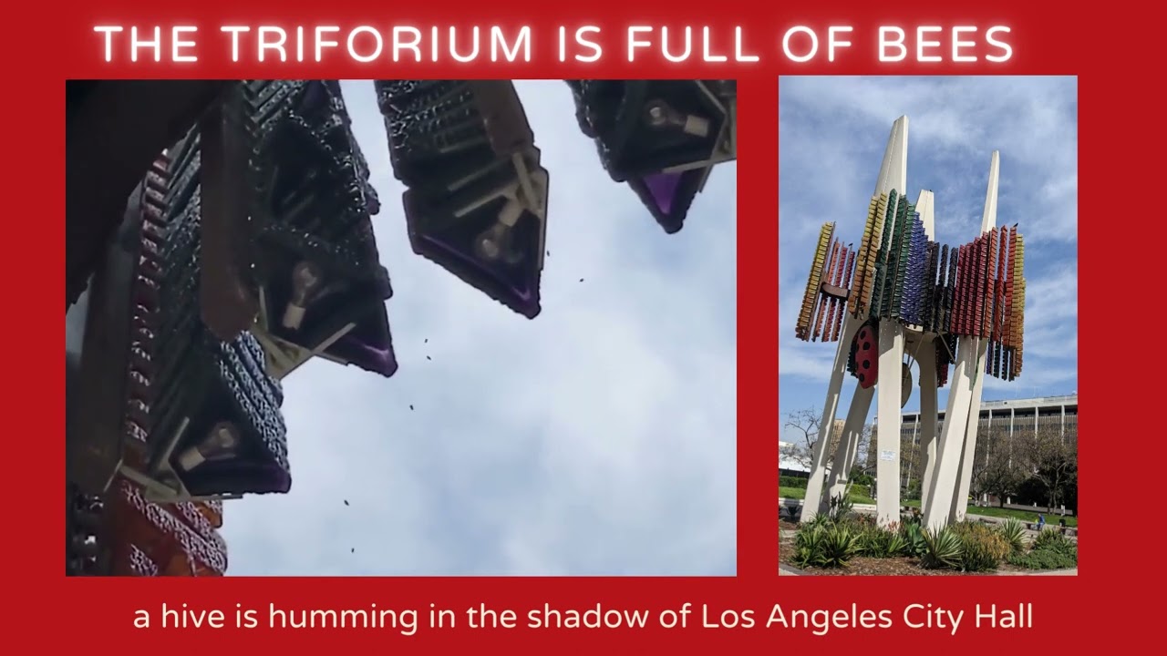 The Triforium is full of bees