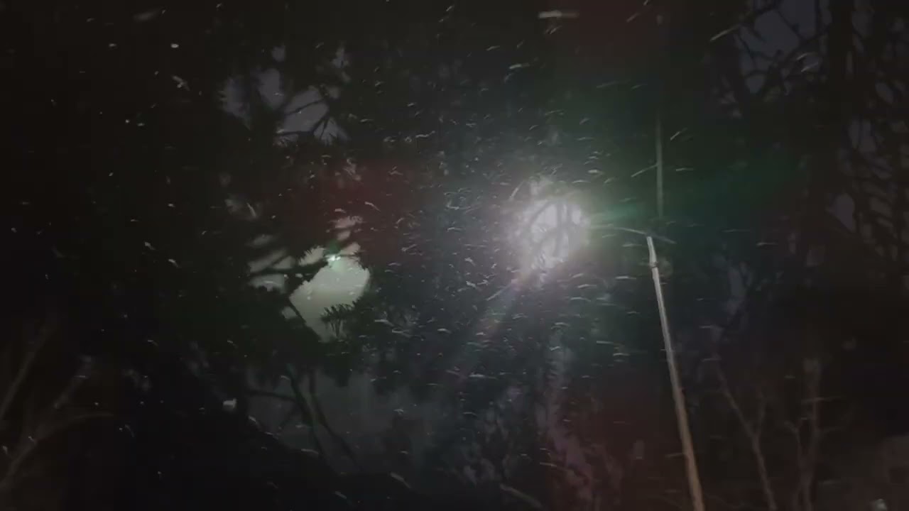 Interstellar Enigmatic Throne (visual demo)