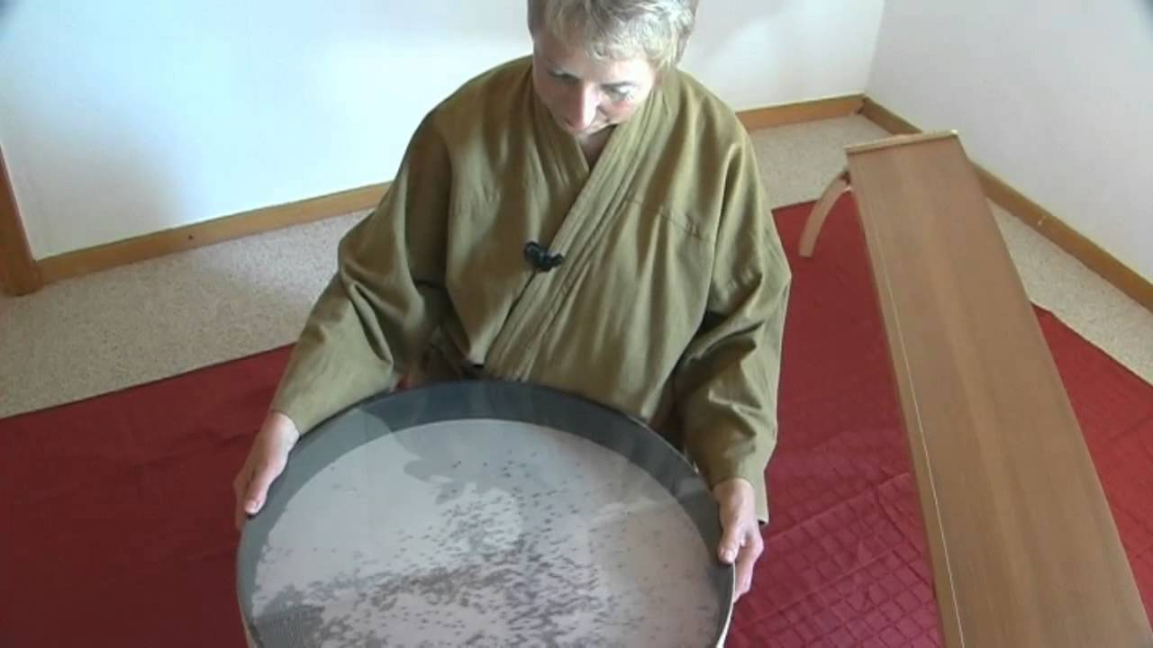 Video Ocean Drum-Vorstellung - Maria Fröhlich - Zen, Shiatsu, Klangkonzerte