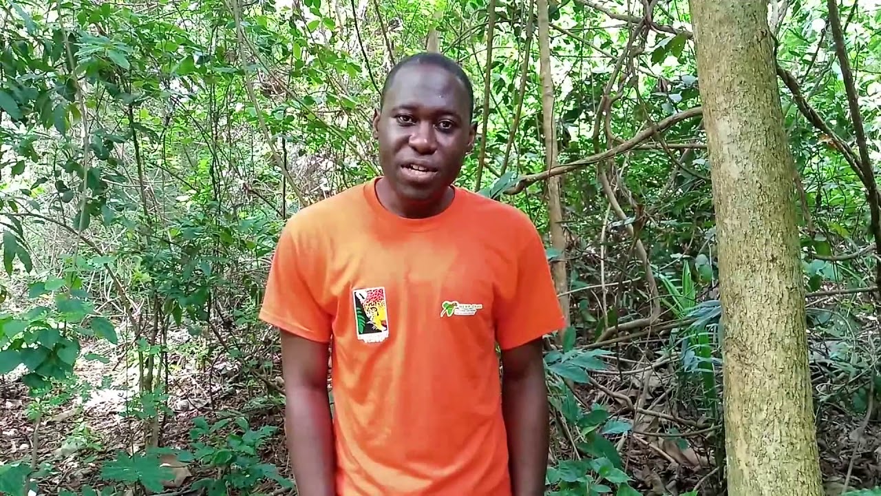 Rainforest Trust Fellow Francis Osei-Gyan of HERP Conservation Ghana