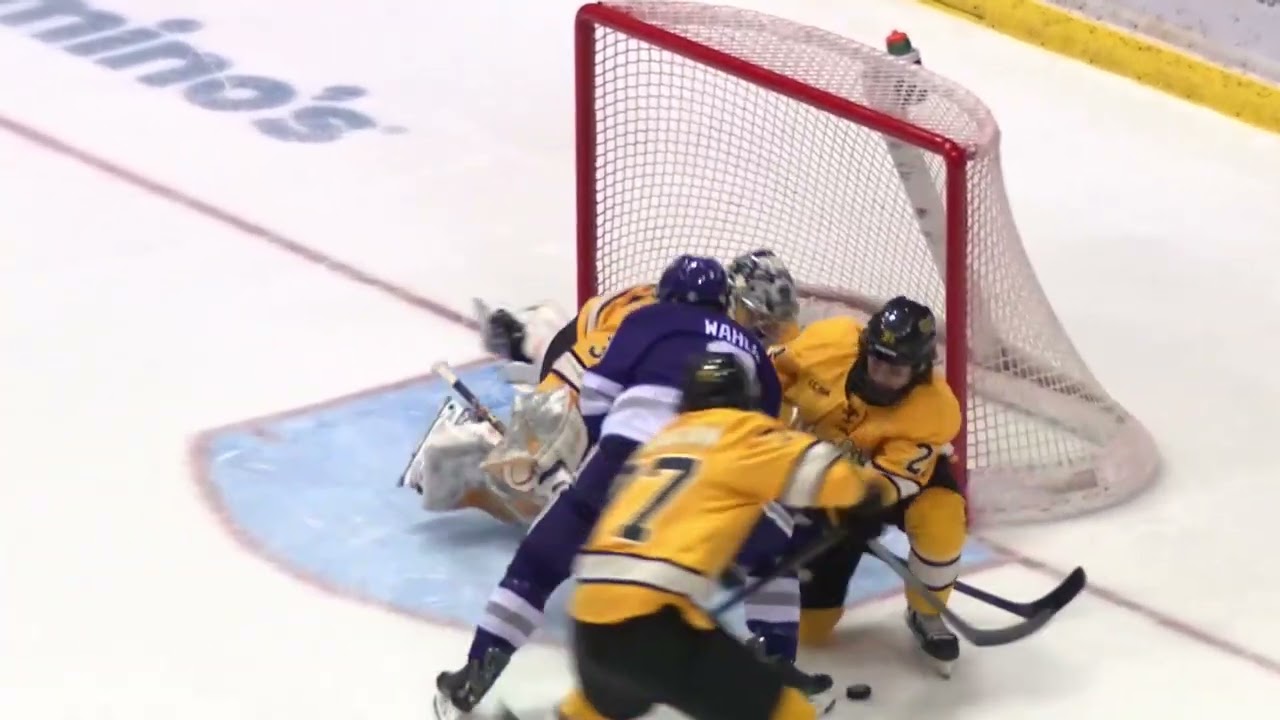2025-26 Goaltender of the Year Finalists