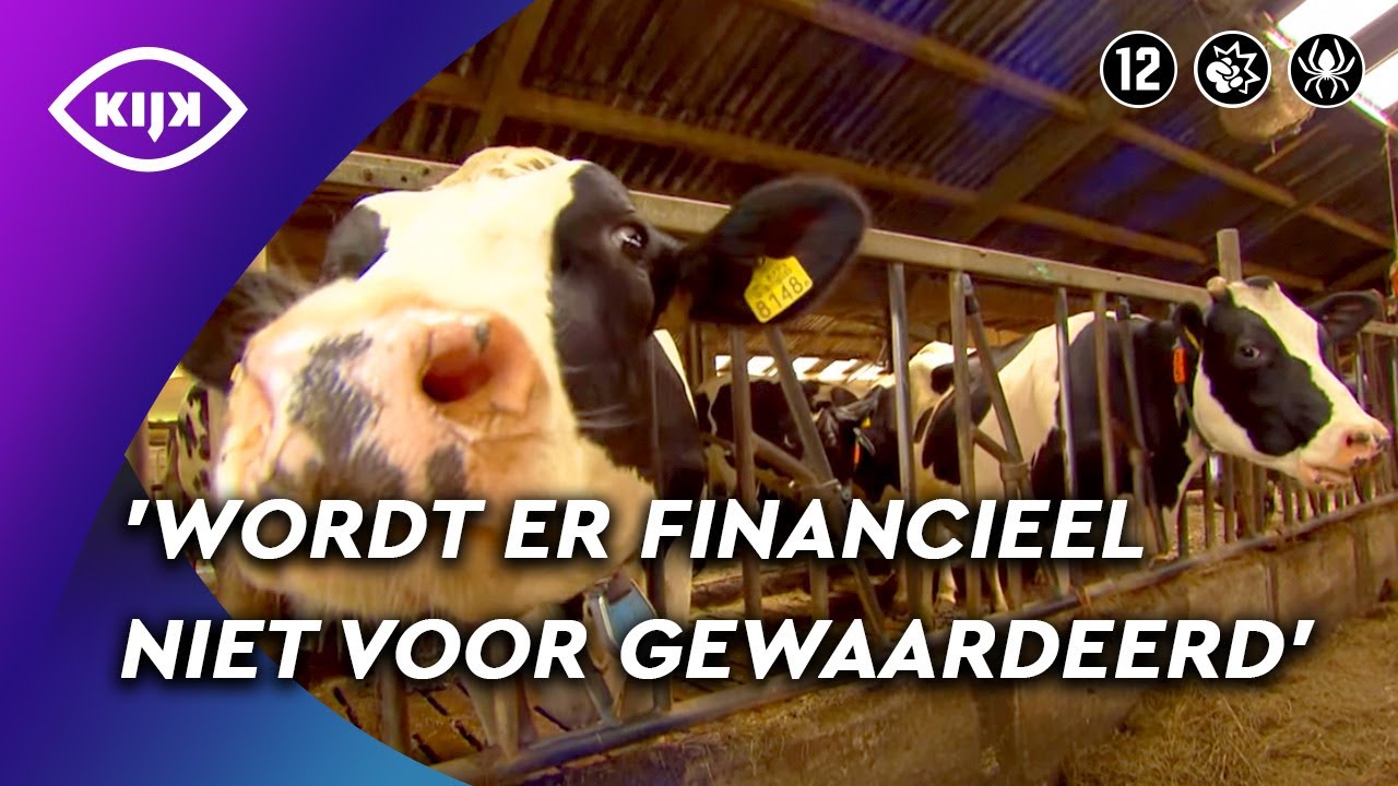 Het VERMOGEN van BOERENBEDRIJF met 140 koeien | Hoeveel Ben Je Waard? | KIJK