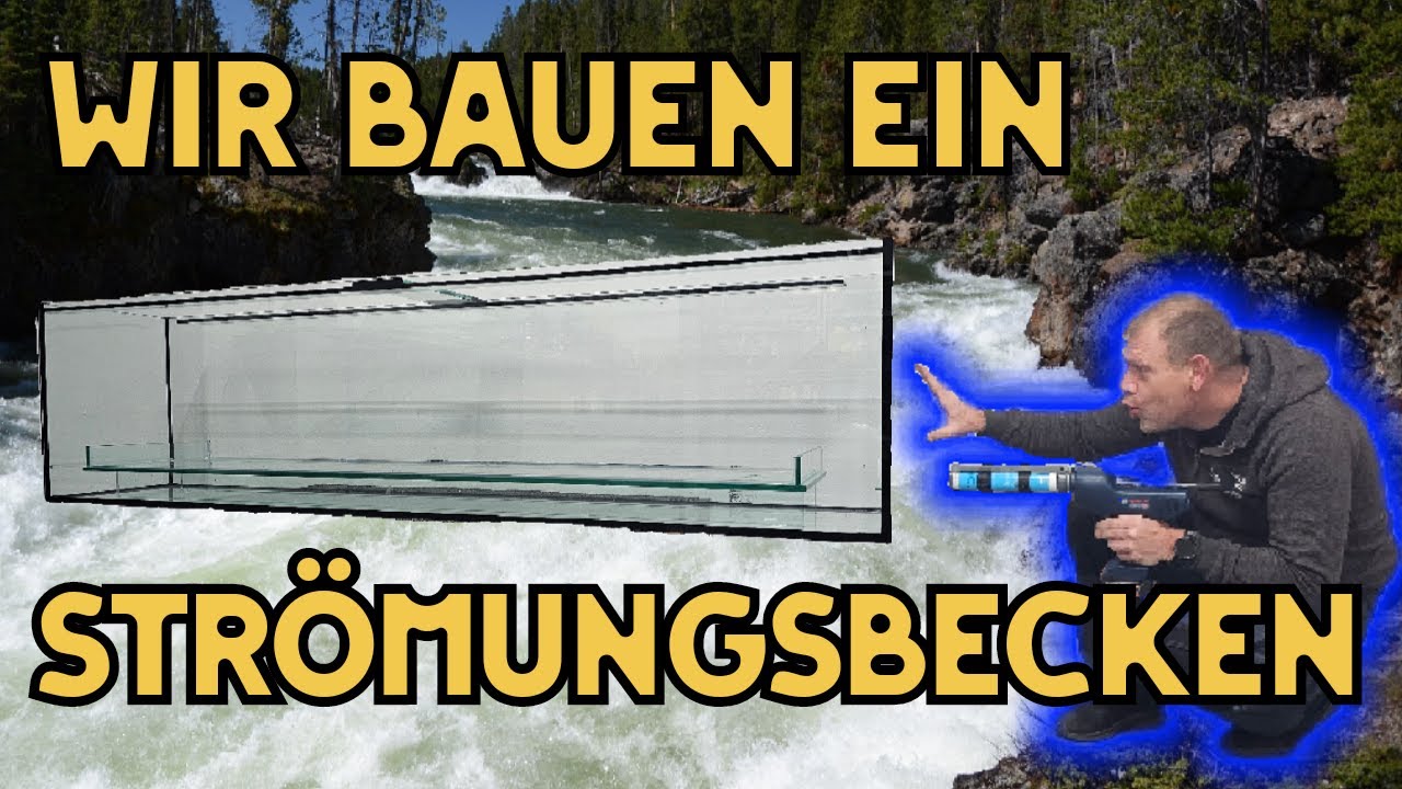 Wir Bauen ein Strömungsbecken