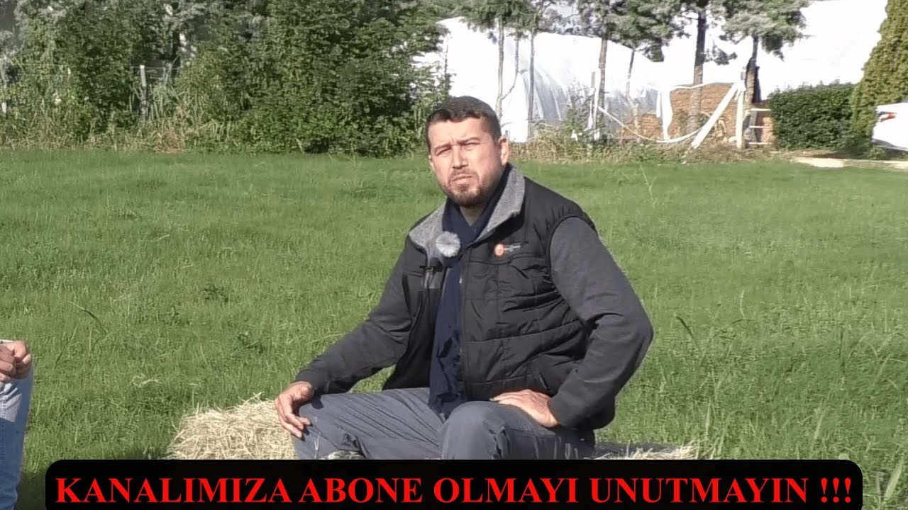 MERA 12 AY NASIL YEŞİL KALIR (Yem Maliyetini Düşürmenin Yolu )