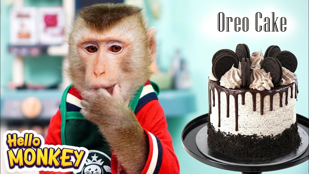 Monkey Bobo Knows How To Make Delicious And Beautiful Oreo Cakes 🙈🥄