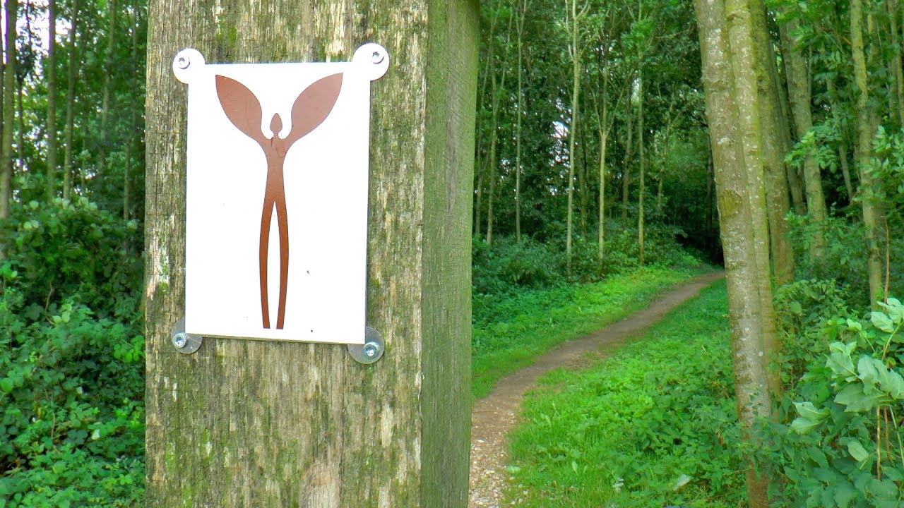 Walk of Wisdom
