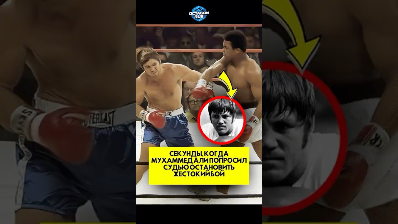 Секунды, когда Мухаммед Али попросил судью остановить жестокий бой #шорты #boxing #короткий