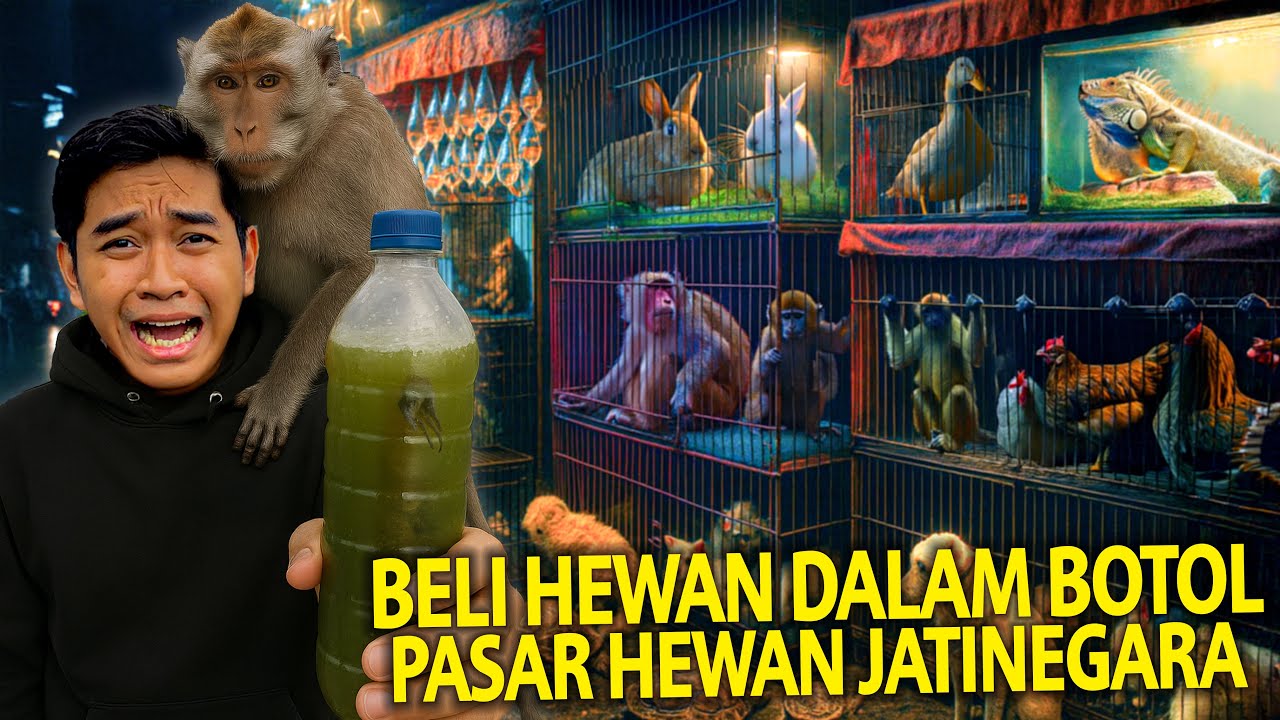 BELI HEWAN DALAM BOTOL KE PASAR HEWAN JATINEGARA MALAM HARI 2025! KATANYA BANYAK PENIPUAN DISINI?!