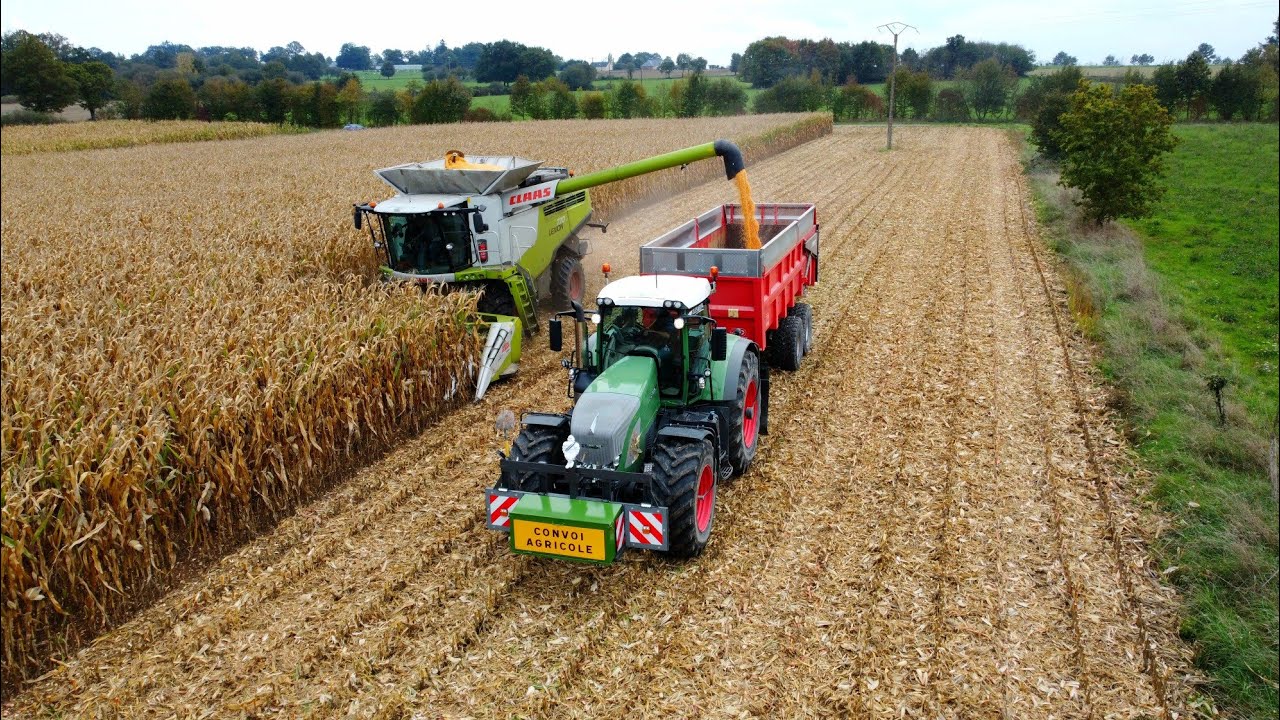 Moisson de maïs grain 🌽 / CLAAS Lexion 770 / 8 rangs / ETA GEINGUENE / FENDT 930 , 820 🌟🇨🇵